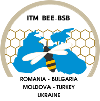 itm bee-bsb logo